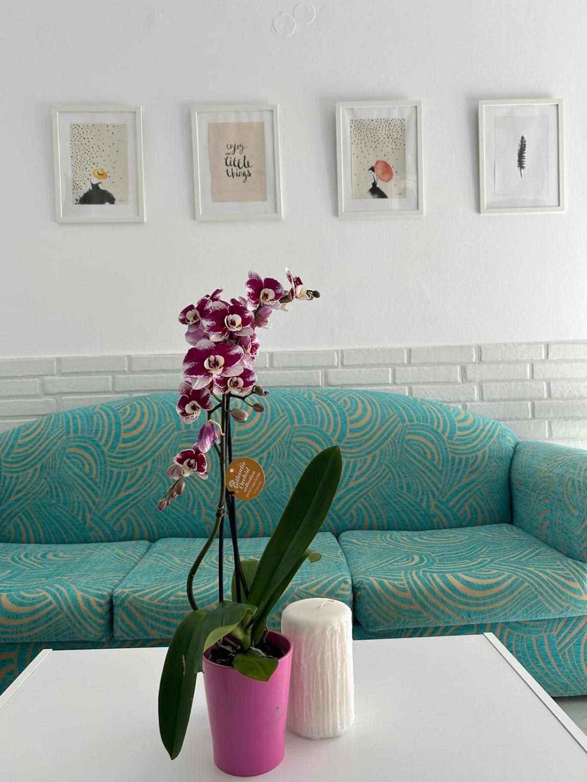 Maria'S Apartments Pigi  Екстер'єр фото